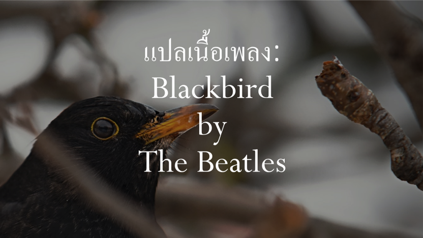 blackbird3small