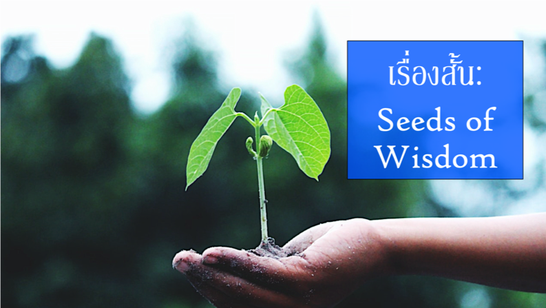 seeds of wisdom cover smallpng